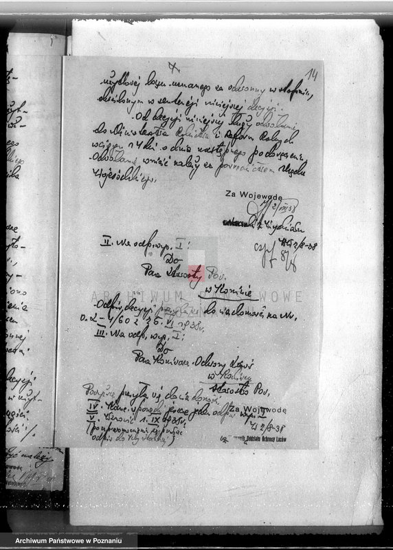 Obraz 18 z jednostki "Majątek Staremiasto powiat koniński /nadzór nad gospodarką leśną/"