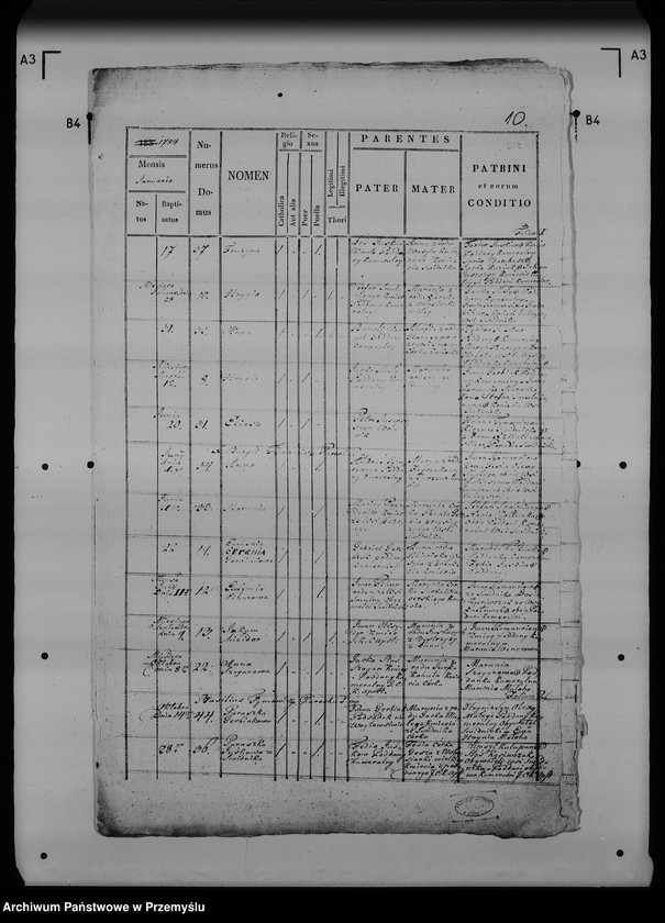 Obraz 14 z jednostki "[Kopie ksiąg metrykalnych parafii Świdnik (dekanat Rozłucz)]"
