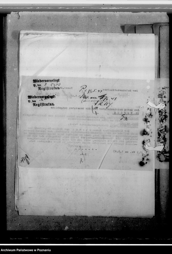 Obraz 13 z jednostki "Stronk, Roman - komisarz obwodowy"