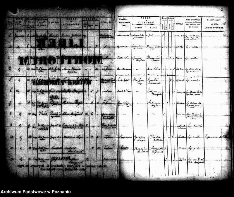 Obraz 3 z jednostki "Księga zgonów"