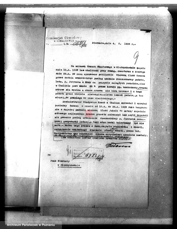 Obraz 14 z jednostki "Majętność leśna Chalin powiat międzychodzki"