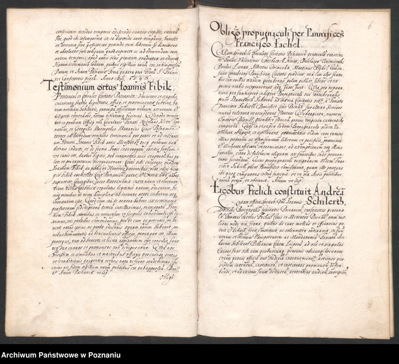 Obraz 10 z jednostki "Acta coram spectabili consulatu Posnaniensi."