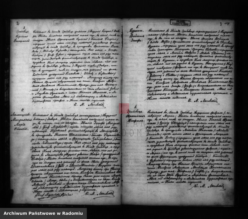 Obraz z jednostki "[Duplikat akt urodzonych, zaślubionych i zmarłych parafii Grabowiec za 1877 r.]"