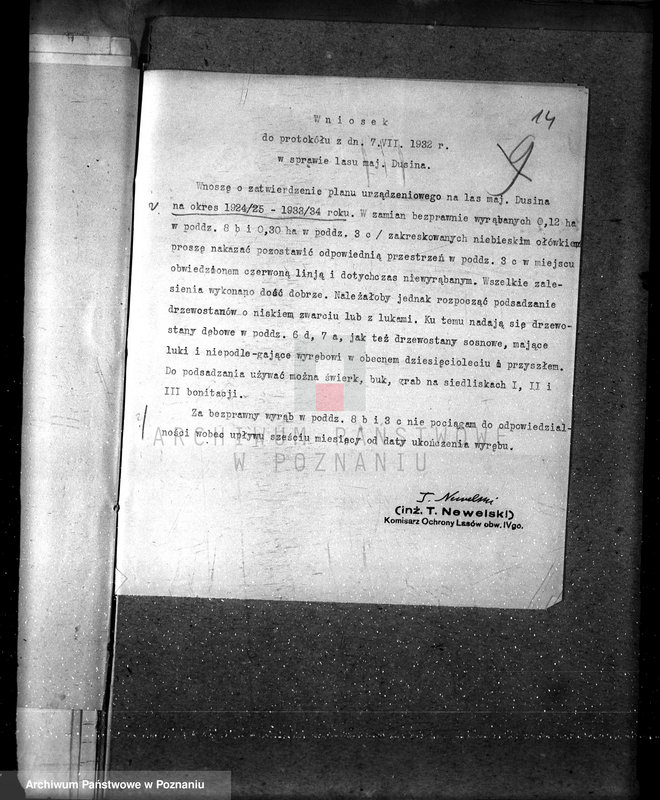 Obraz 18 z jednostki "Nadzór nad gospodarką w lasach majątku Dusina w powiecie gostyńskim"