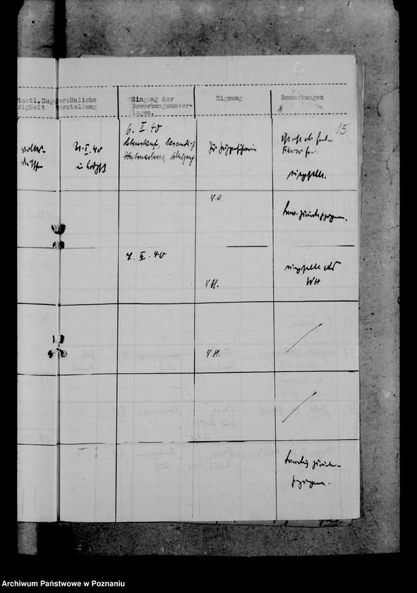 Obraz 19 z jednostki "Landjahrführerinnen"