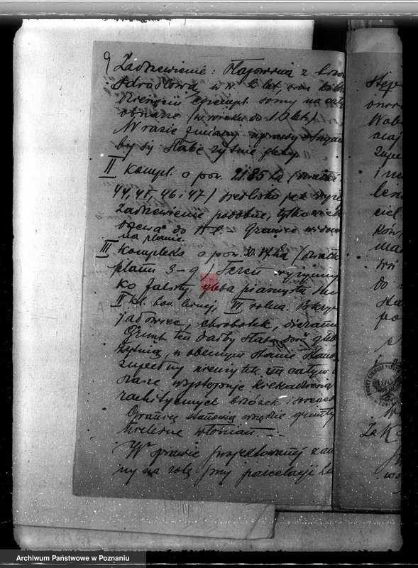 Obraz 13 z jednostki "Majątek Krwony powiat kolski /nadzór nad gospodarką leśną/"