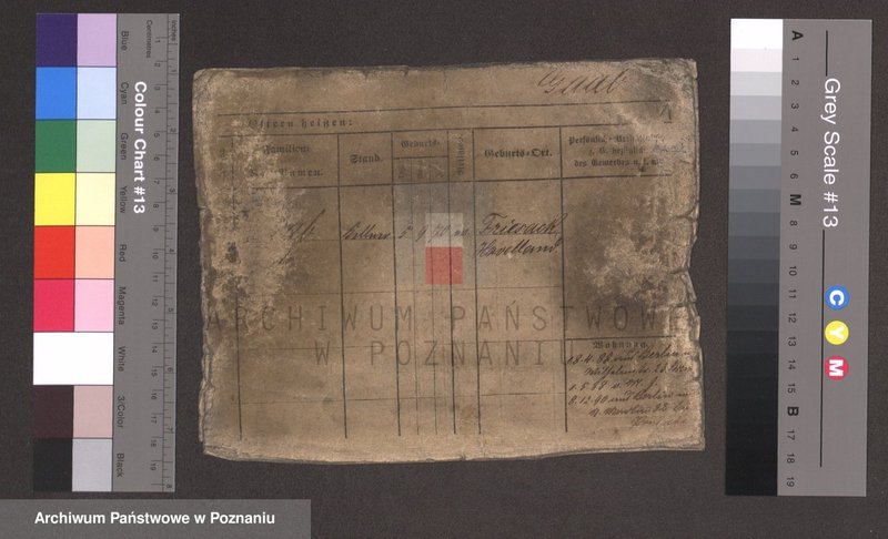 Obraz 3 z jednostki "Gaab - Gaciorkowski"