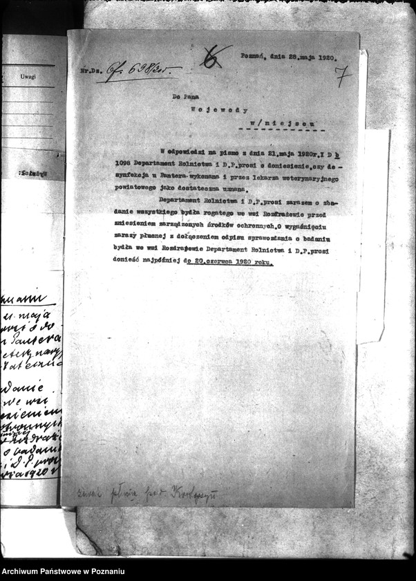 Obraz 11 z jednostki "Zaraza płucna - Krotoszyn"