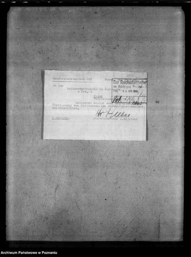 Obraz 18 z jednostki "Bekämpfung der Räude der Einhufer - Pferde, Gaszelle zur Behandlung räudekranker Pferde."