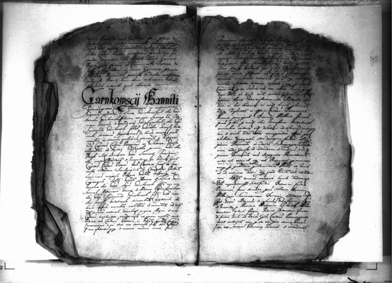 Obraz 15 z jednostki "Decreta iudicii [inducta]"