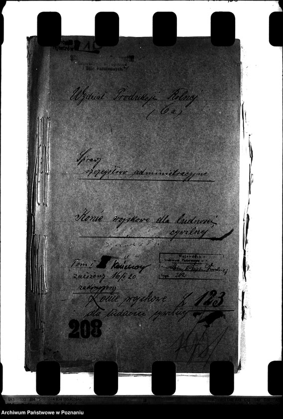 Obraz 4 z jednostki "Konie wojskowe dla ludności cywilnej"