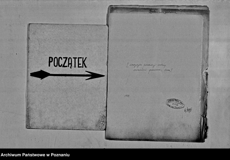 Obraz 2 z jednostki "Statystyka produkcji rolnej - zestawienie powiatowe - Środa"