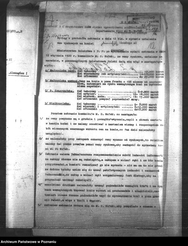 Obraz 16 z jednostki "Konie"