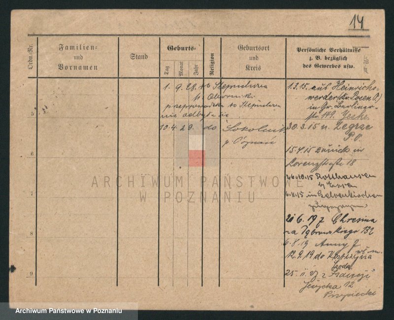 Obraz 14 z jednostki "Lewandowski (żonaci i wdowy)"