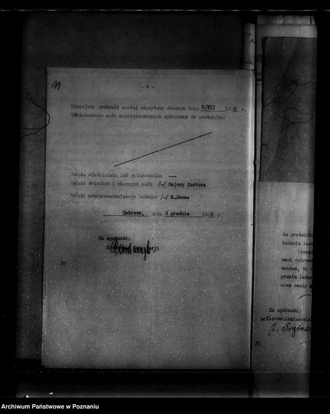 Obraz 15 z jednostki "Parcele leśne pod nazwą,,Zakrzew" powiat turecki"