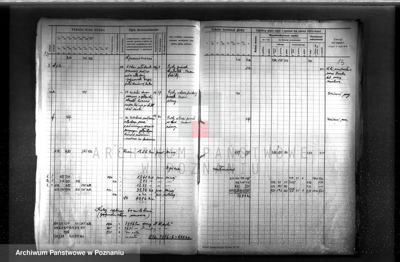 Obraz 14 z jednostki "Plan urządzenia gospodarstwa leśnego dla lasu Berty Stelter w Piotrowie powiat szamotulski 1930-1940"