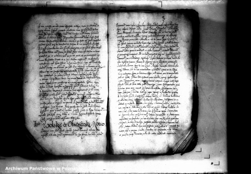 Obraz 5 z jednostki "Decreta iudicii [inducta]"