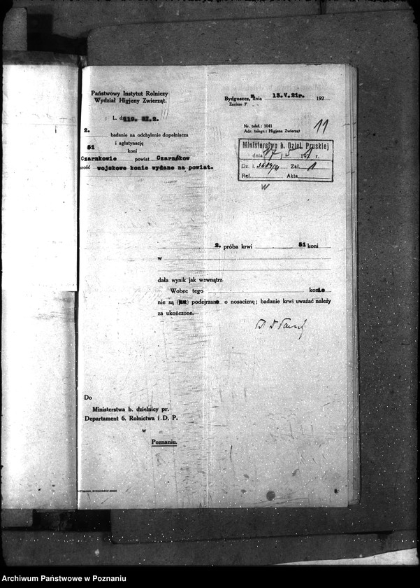 Obraz 15 z jednostki "Nosacizna - Czarnków"