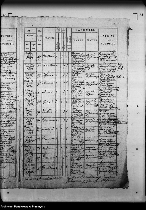 Obraz 7 z jednostki "[Kopie ksiąg metrykalnych parafii Rajtarowice z filiami Rogóźno, Sadkowice (dekanat Mościska)]"