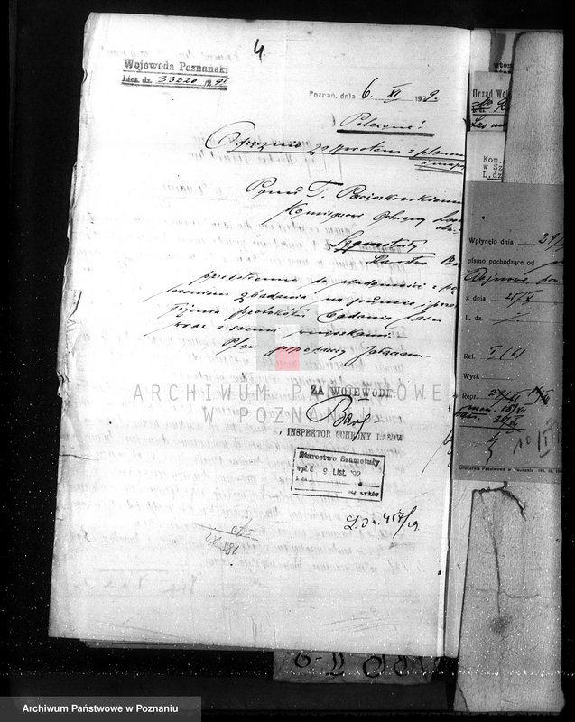 Obraz 8 z jednostki "Nadzór nad gospodarką w lasach majętności Wojnowo powiat obornicki"