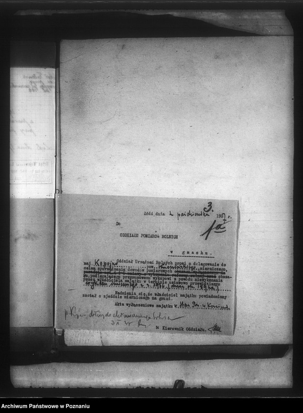 Obraz 7 z jednostki "Parcelacja majątku państwowego Kopojno powiatu konińskiego"