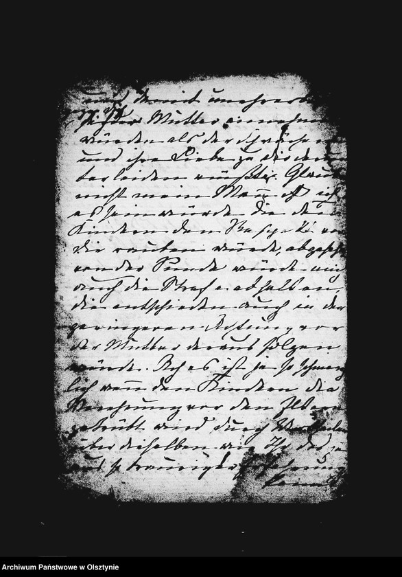 image.from.unit.number "/Entwürfe der Anna Gfin Lehndorff geb. Hahn zu Briefen an den Kaiser, ihren Mann, die Kinder, ihre Brüder Friedrich, Franz u. Max, an die Herzogin, wegen Annies Heirat mit dem Gf. Bniński, 10 Briffe an Paula u. a. /"