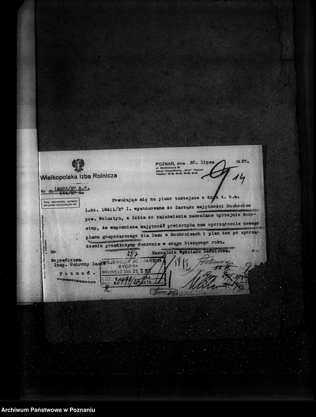 Obraz 18 z jednostki "Majętność leśna Ruchocice powiat wolsztyński"