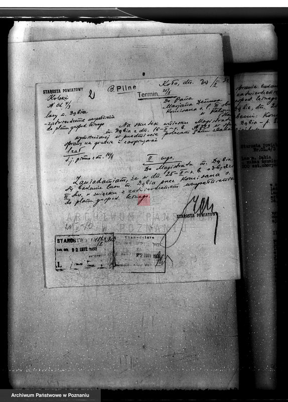 Obraz 6 z jednostki "Lasy miasta Dąbie powiatu kolskiego"