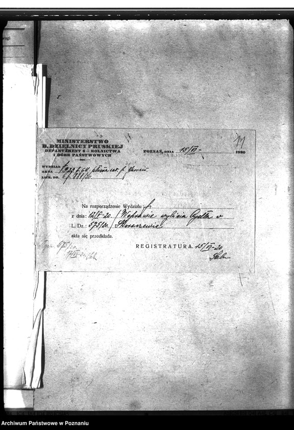 Obraz 15 z jednostki "Zaraza płucna - Jarocin"