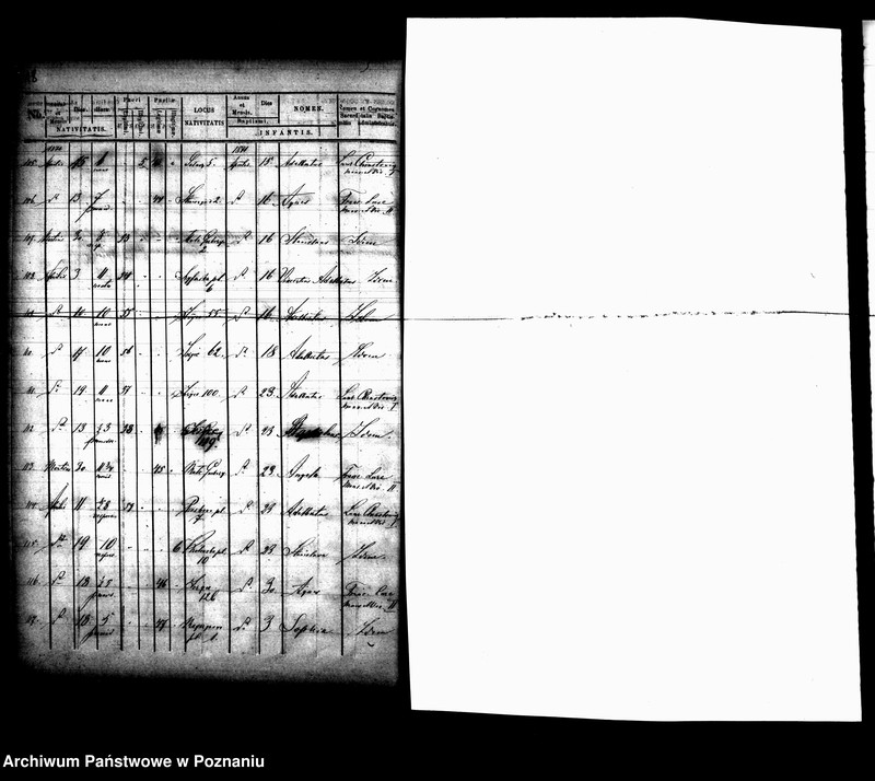 Obraz 11 z jednostki "Księga urodzin"