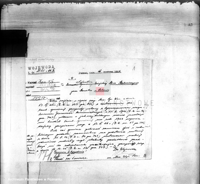 Obraz 5 z jednostki "Budżet i sprawy rachunkowo-kasowe Skalmierzyc Nowych"