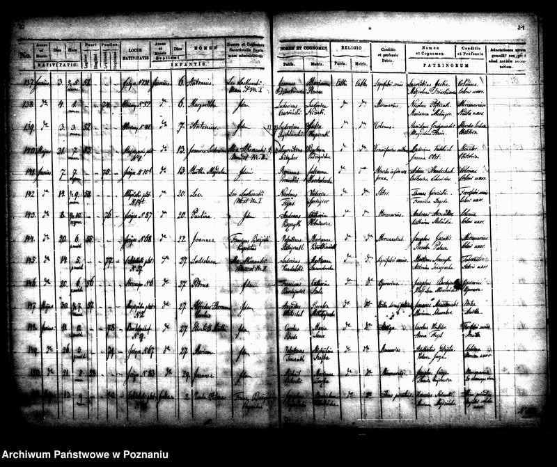 Obraz 14 z jednostki "Księga urodzin"