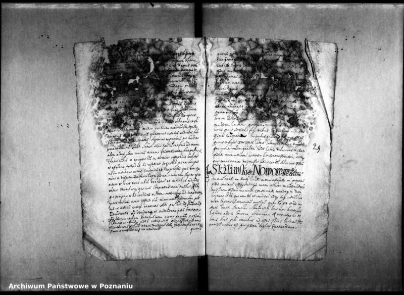 Obraz 11 z jednostki "Decreta officii [inducta]"