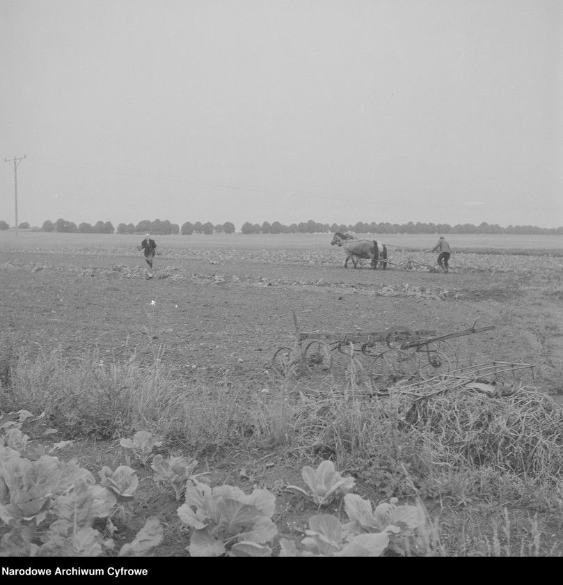 image.from.unit.number "Spółdzielnia Kółek Rolniczych w Siemyślu"