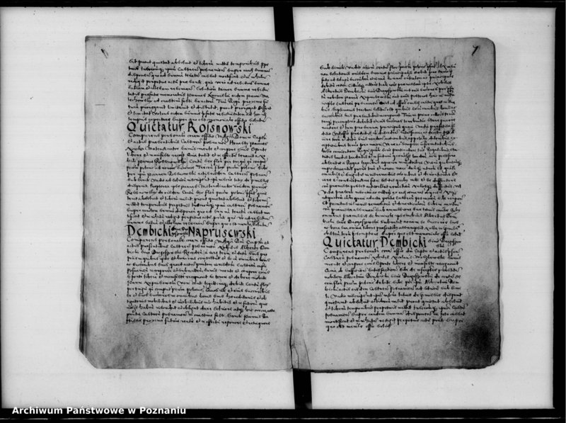 Obraz 10 z jednostki "Inscriptiones, relationes [inducta]"