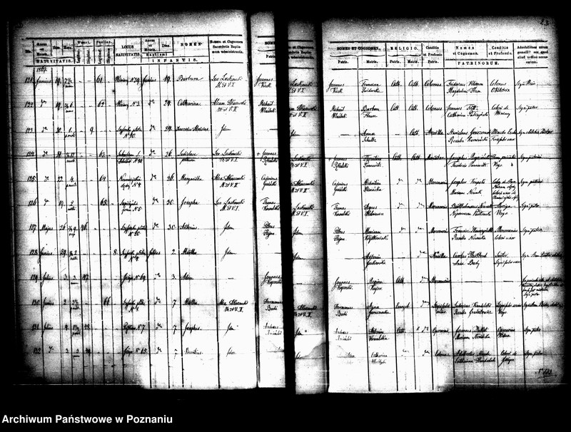 Obraz 14 z jednostki "Księga urodzin"