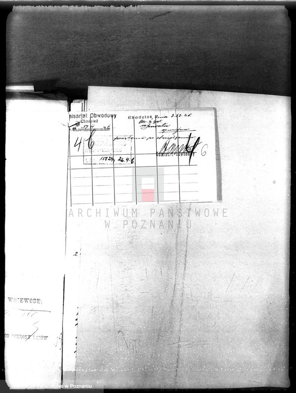 Obraz 10 z jednostki "Majętność leśna Oleśnica w powiecie chodzieskim"