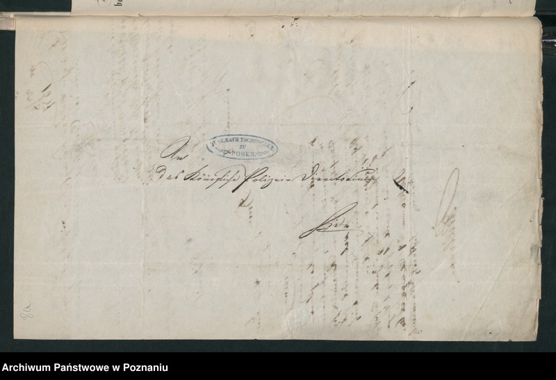 Obraz 12 z jednostki "A. betr. die Familie von Skarzewski"