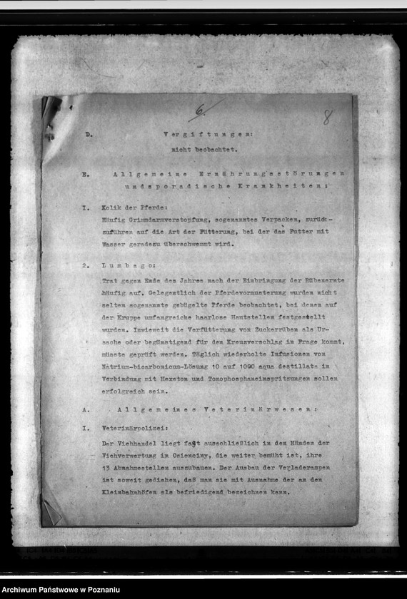 Obraz 12 z jednostki "Jahresveterinärbericht der Regierungs- Veterinärratstelle des Kreises Hermannsbad"