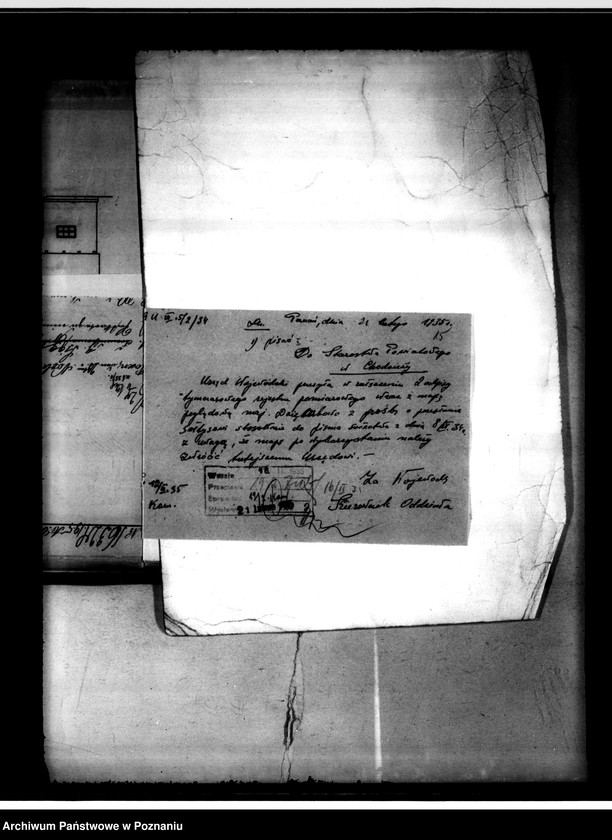 Obraz 18 z jednostki "Majątek Dziembowo powiat chodzieski dzierżawa upolowania"