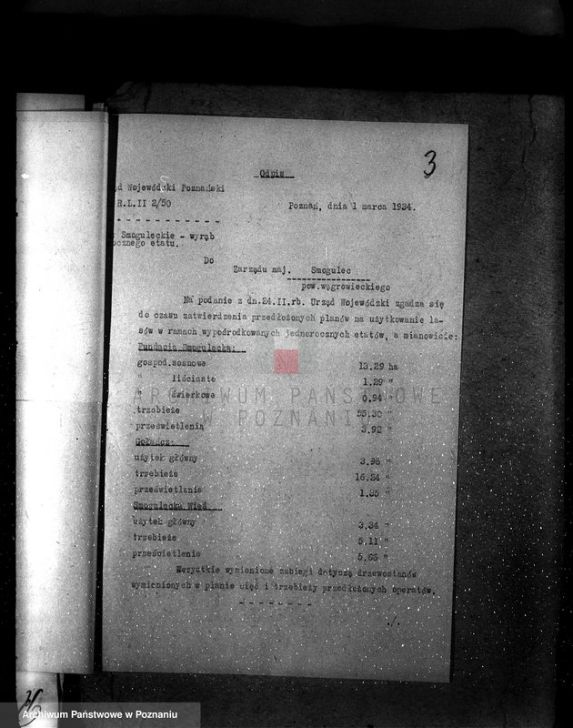 Obraz 7 z jednostki "Majętność /leśna/ Smogulecka Wieś powiat szubiński"