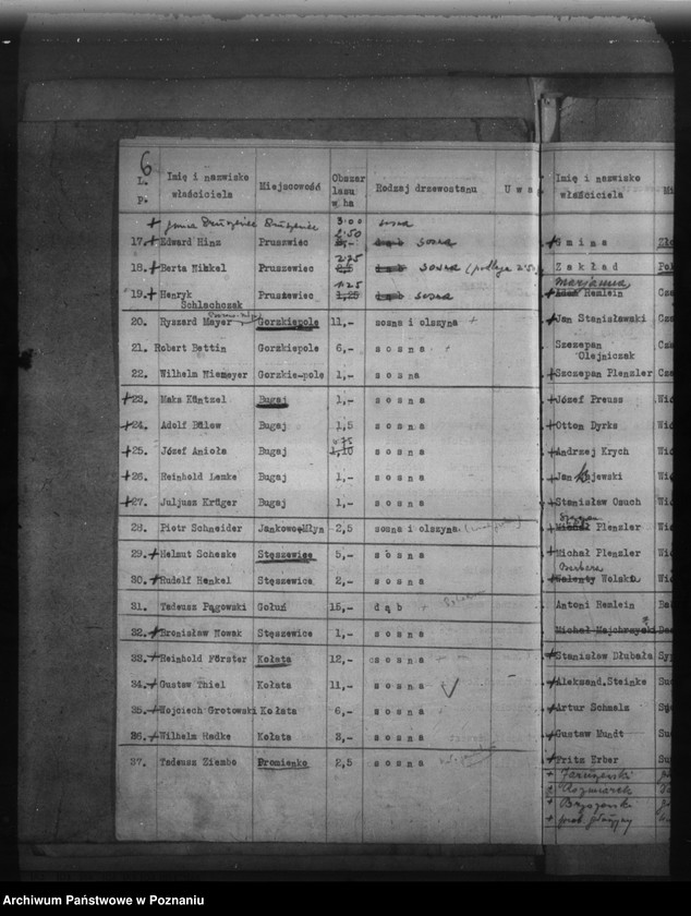 Obraz 10 z jednostki "Lasy do 30 ha na terenie powiatu poznańskiego"