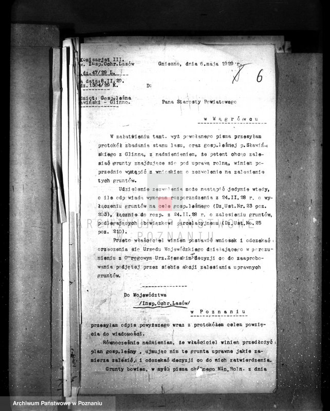 Obraz 10 z jednostki "Majętność leśna Glinno powiat wągrowiecki"