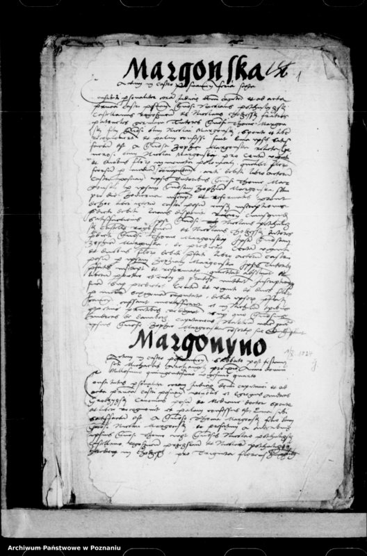 Obraz 3 z jednostki "Inscriptiones, relationes, decreta [inducta]"