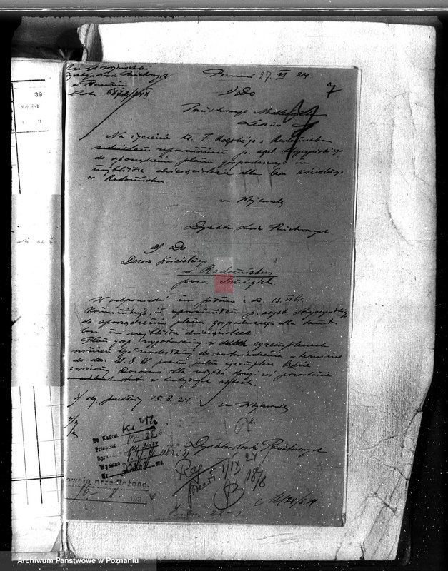 Obraz 11 z jednostki "Las parafialny kościoła w Radomicku powiat kościański"