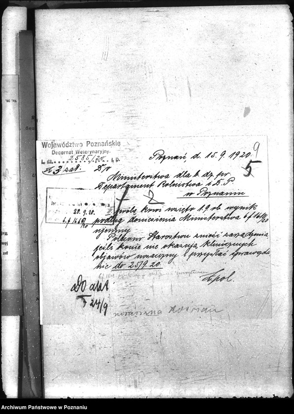 Obraz 13 z jednostki "Nosacizna - Kościan"