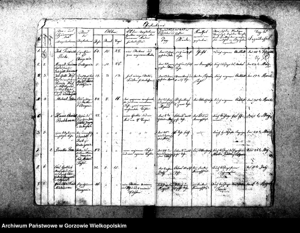 image.from.unit.number "Duplikate der Kirchenbücher von der Parochie Genninsch Warthebruch: Spiegel (Poźrzadło), Blumenthal (Kwiatkowice), Ludwigsthal (Trzęsów), Bergenhorst (Gorzębia), Haferwiese (Gosławka), Pollychener Hollander (Nowe Polichno), Gross Rehne (Rań), Alt Gennin (Jeninek), Ober Gennin (Jeniniec), Unter Gennin (Podjenin)"