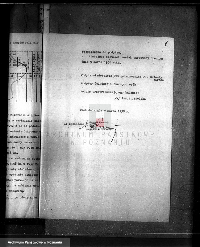 Obraz 10 z jednostki "Gmina Piorunów powiat turecki /nadzór nad gospodarką leśną/"