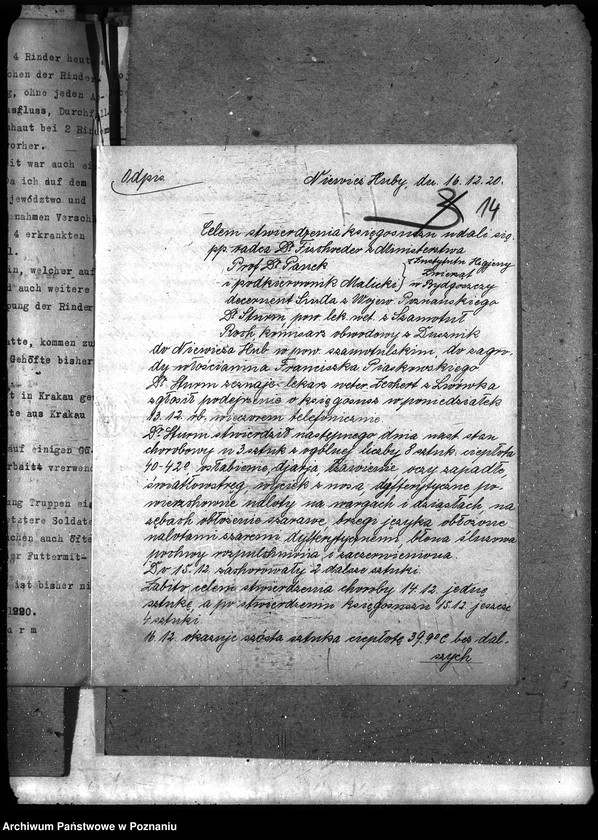 Obraz 18 z jednostki "Księgosusz - Szamotuły"