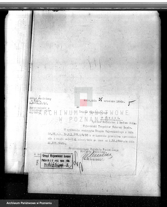 Obraz 10 z jednostki "Zalesienie nieużytków w powiecie kolskim"